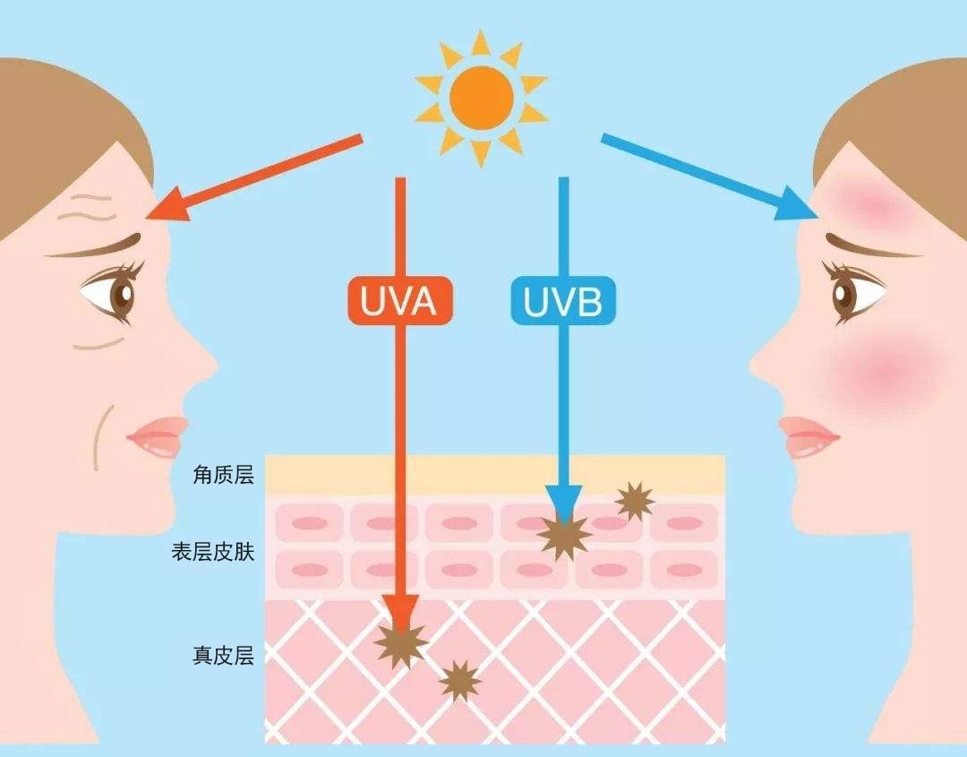 大师贴膜